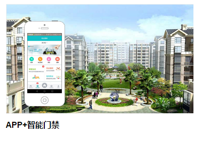 APP+智能门禁